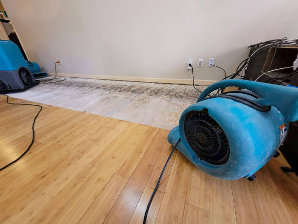 Professional Structural Drying technician working in Morgantown, KY
